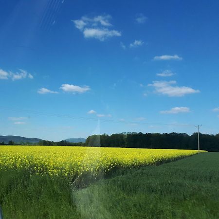 Agroturystyka "Jagap" Oaza Spokoju Dzierzoniow Luaran gambar