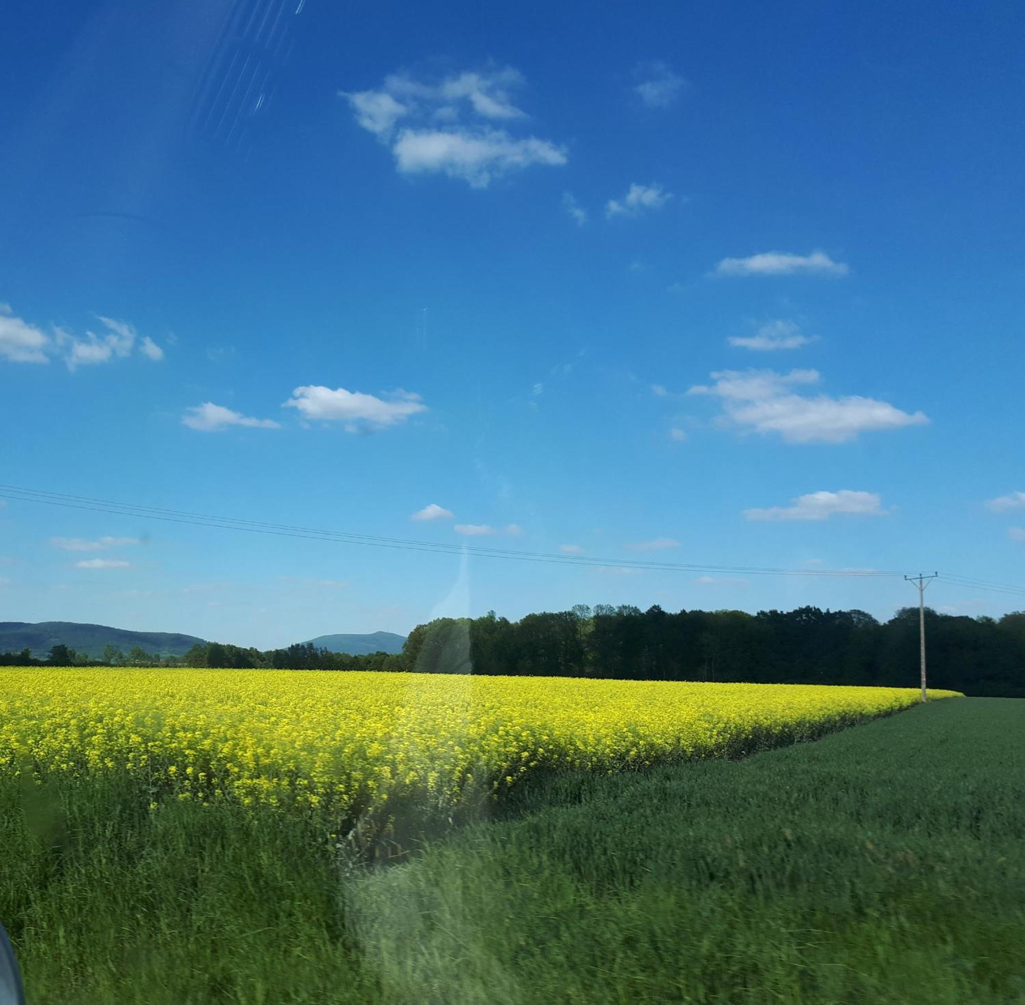 Agroturystyka "Jagap" Oaza Spokoju Dzierzoniow Luaran gambar