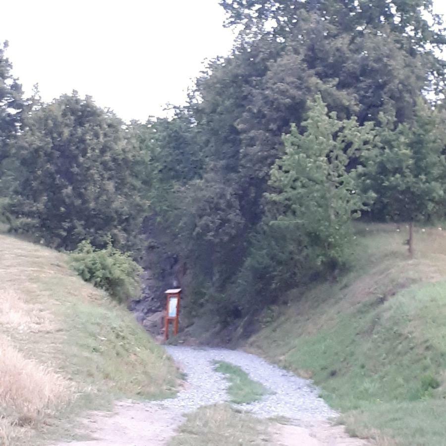Agroturystyka "Jagap" Oaza Spokoju Dzierzoniow Luaran gambar