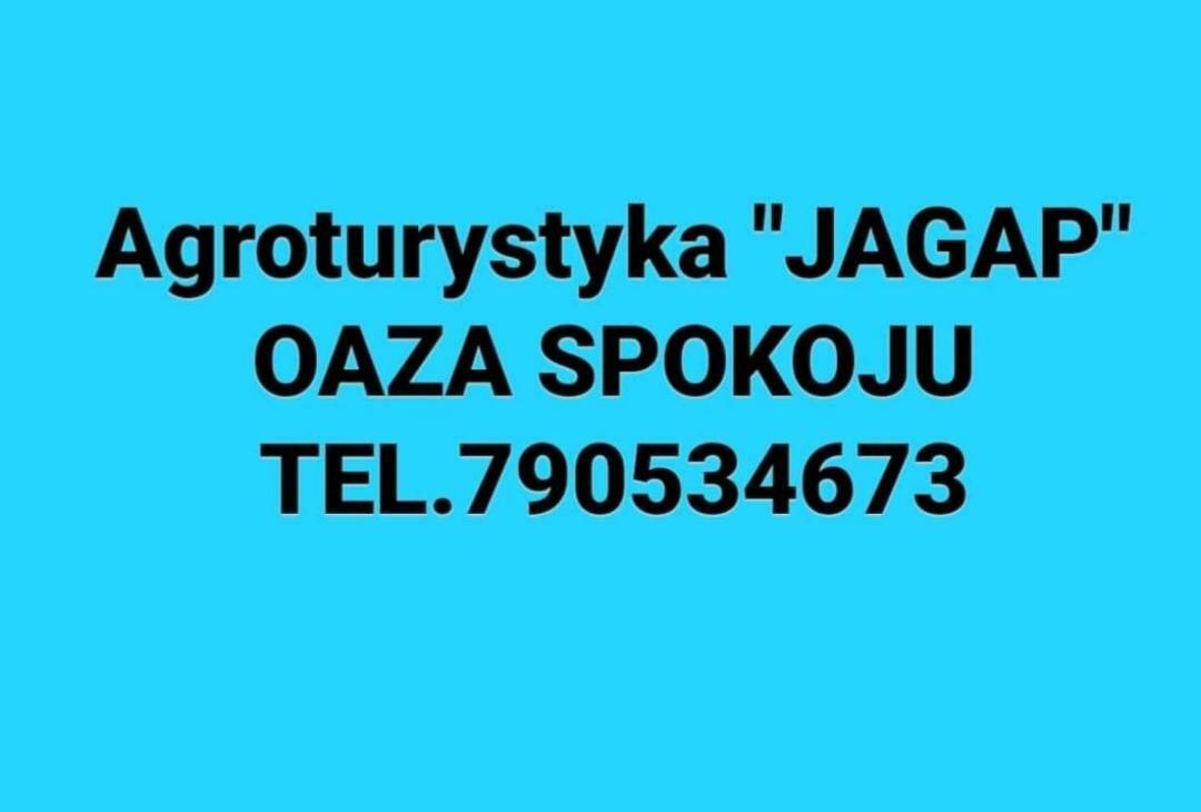 Agroturystyka "Jagap" Oaza Spokoju Dzierzoniow Luaran gambar